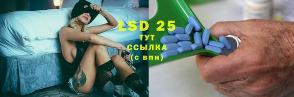 PSILOCYBIN Абаза