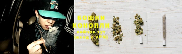 PSILOCYBIN Абаза