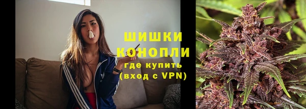 PSILOCYBIN Абаза
